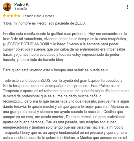 Reseña de Pedro P. en Google sobre Zeus